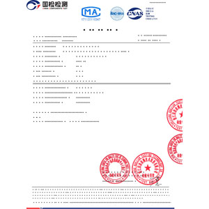 State inspection report